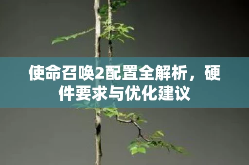 使命召唤2配置全解析图片