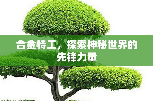 探索神秘世界的先锋力量图片