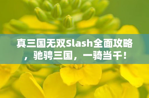 真三国无双Slash全面攻略图片