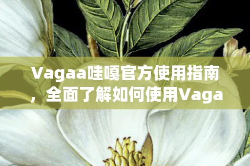 全面了解如何使用Vagaa哇嘎图片