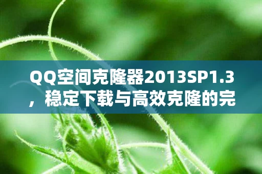 QQ空间克隆器2013SP1图片