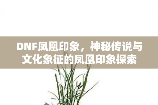 神秘传说与文化象征的凤凰印象探索图片