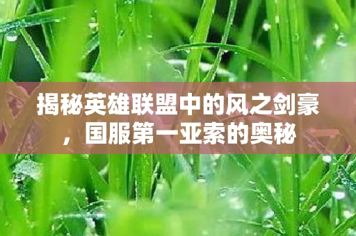 揭秘英雄联盟中的风之剑豪图片