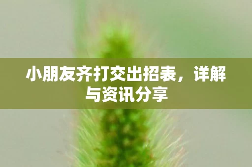 小朋友齐打交出招表图片