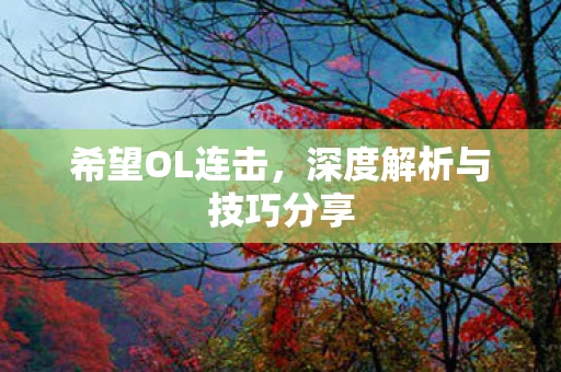 深度解析与技巧分享图片