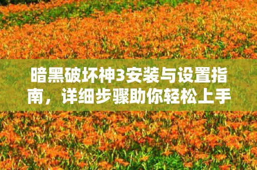 暗黑破坏神3安装与设置指南图片