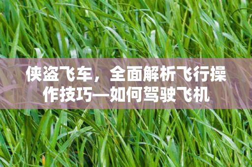 全面解析飞行操作技巧图片