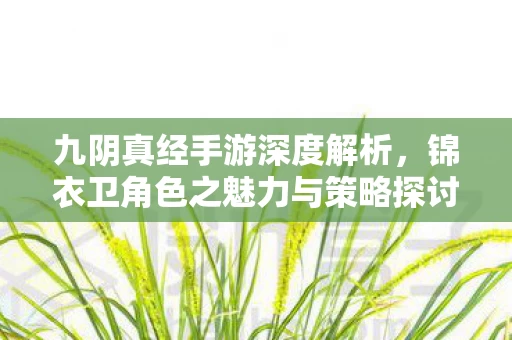 锦衣卫角色之魅力与策略探讨图片