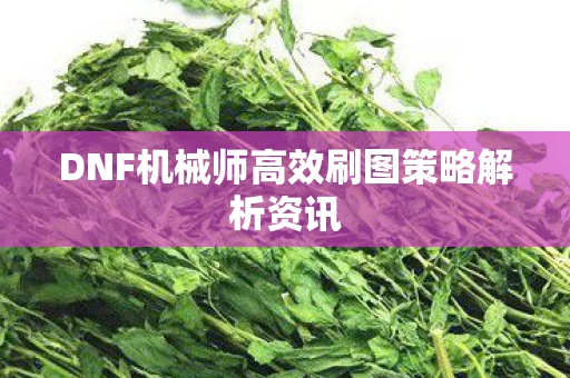 DNF机械师高效刷图策略解析资讯图片