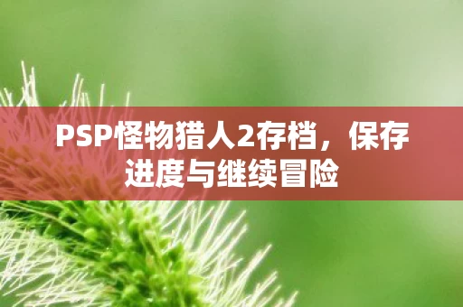 PSP怪物猎人2存档图片