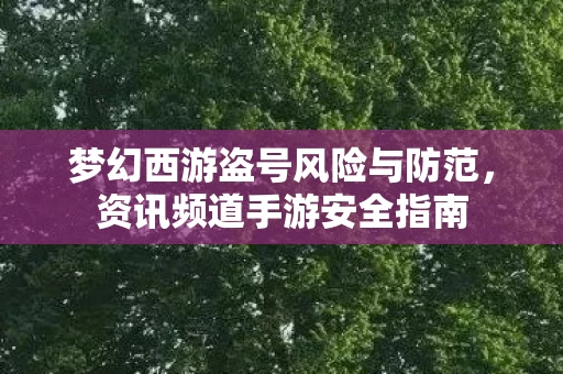 梦幻西游盗号风险与防范图片
