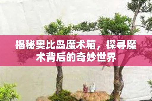 探寻魔术背后的奇妙世界图片