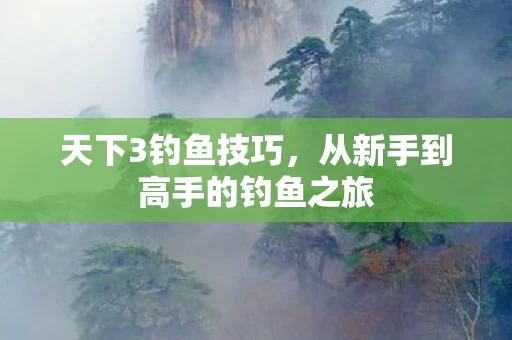 从新手到高手的钓鱼之旅图片