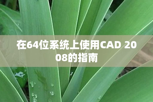 在64位系统上使用CAD 2008的指南图片