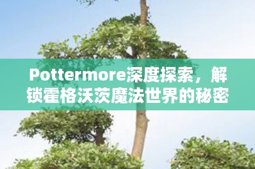 解锁霍格沃茨魔法世界的秘密攻略图片