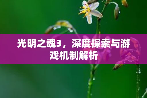 深度探索与游戏机制解析图片