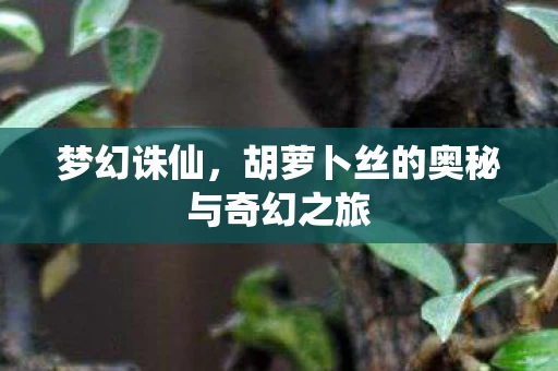 胡萝卜丝的奥秘与奇幻之旅图片