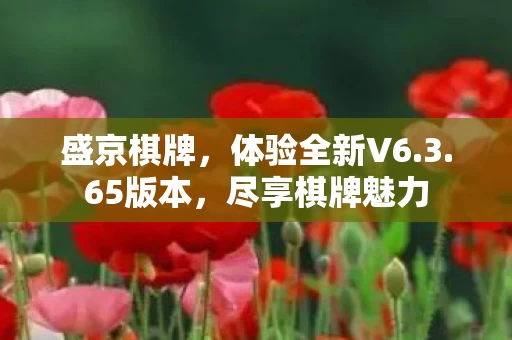体验全新V6图片