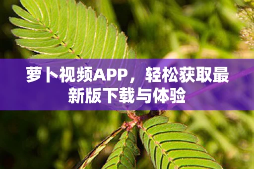 轻松获取最新版下载与体验图片