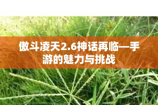 手游的魅力与挑战图片