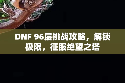 DNF 96层挑战攻略图片