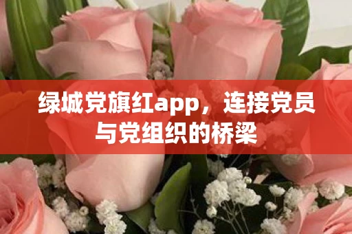 连接党员与党组织的桥梁图片