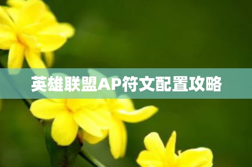 英雄联盟AP符文配置攻略图片