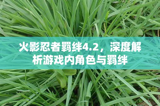 深度解析游戏内角色与羁绊图片