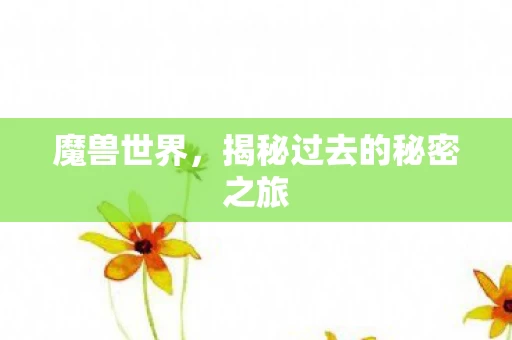揭秘过去的秘密之旅图片