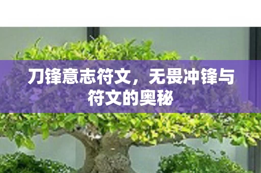 无畏冲锋与符文的奥秘图片