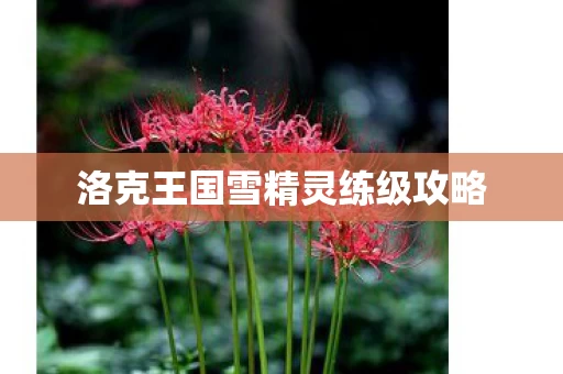 洛克王国雪精灵练级攻略图片