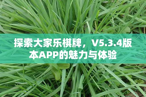 4版本APP的魅力与体验图片
