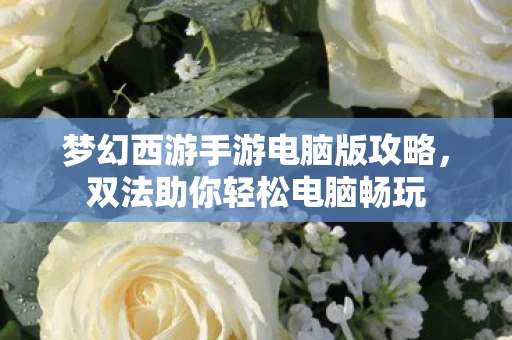 梦幻西游手游电脑版攻略图片