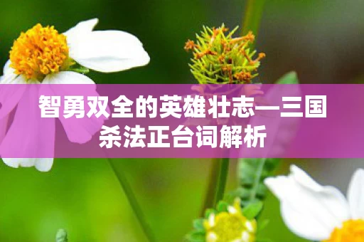 智勇双全的英雄壮志图片