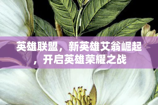 开启英雄荣耀之战图片