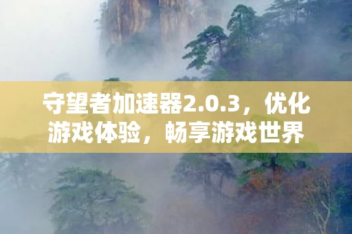 守望者加速器2图片