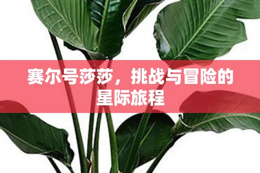挑战与冒险的星际旅程图片