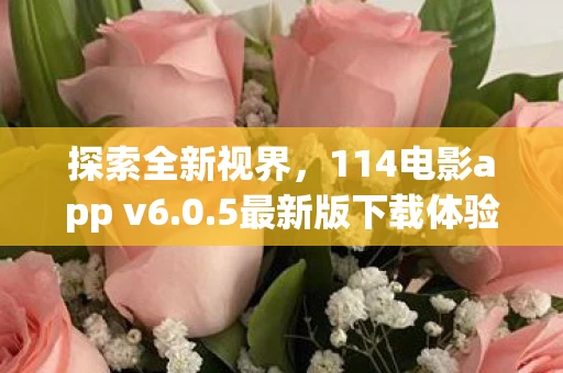 114电影app v6图片