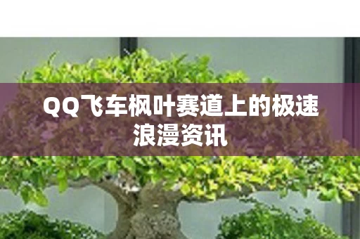 QQ飞车枫叶赛道上的极速浪漫资讯图片