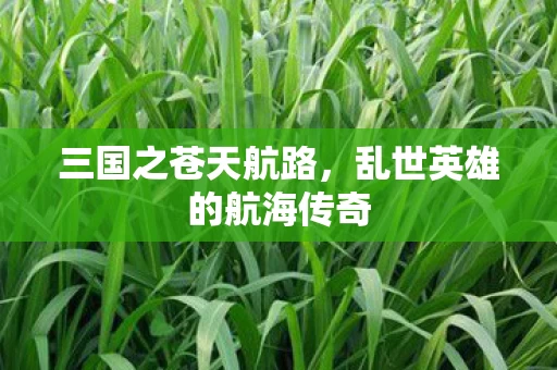 乱世英雄的航海传奇图片