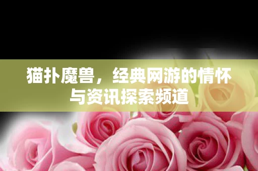 经典网游的情怀与资讯探索频道图片