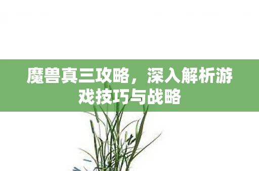 深入解析游戏技巧与战略图片