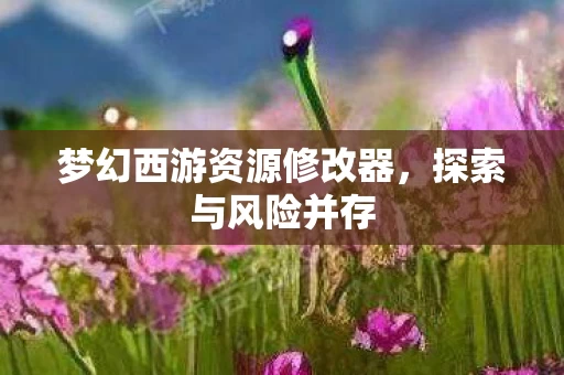 梦幻西游资源修改器图片