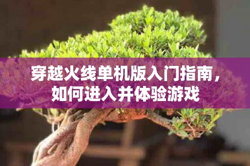 穿越火线单机版入门指南图片