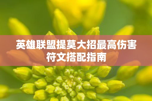 英雄联盟提莫大招最高伤害符文搭配指南图片