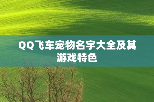 QQ飞车宠物名字大全及其游戏特色图片