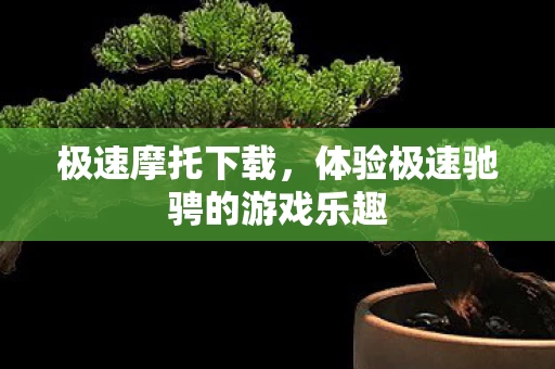 体验极速驰骋的游戏乐趣图片