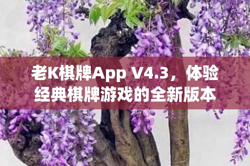 体验经典棋牌游戏的全新版本图片