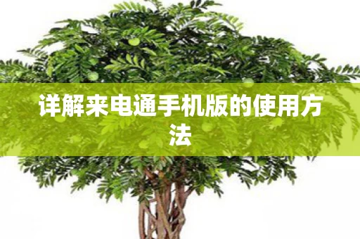 详解来电通手机版的使用方法图片