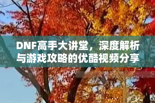 深度解析与游戏攻略的优酷视频分享图片